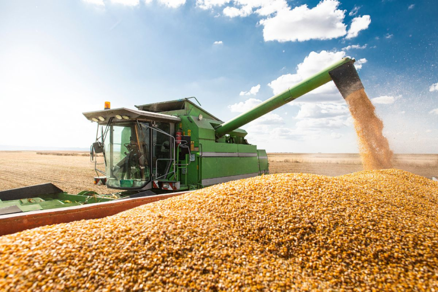 Abertura Nacional da Colheita da Soja 2024/2025: Uma Celebração do Agronegócio em Mato Grosso
